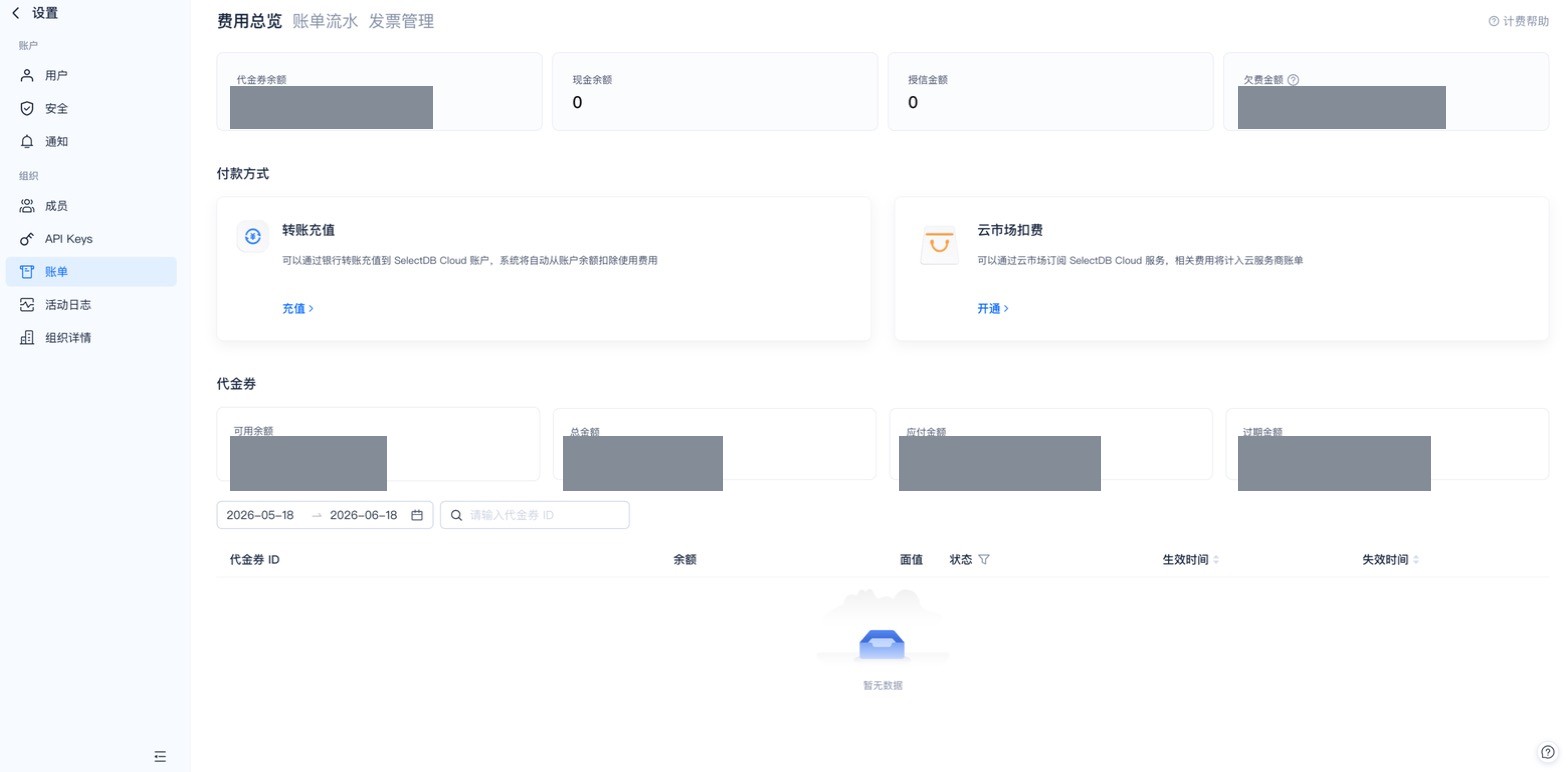 费用总览（代金券 / 余额 / 付款方式，金额已脱敏）